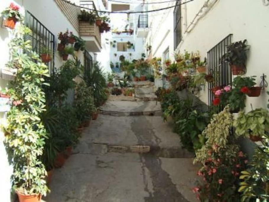 Boutique Style Apartment In Velez De Benaudalla - Near Salobrena Esterno foto
